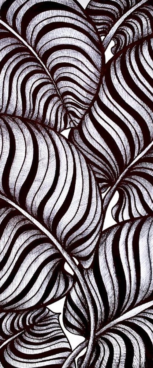 ZEBRA LEAVES by Maria Tuzhilkina