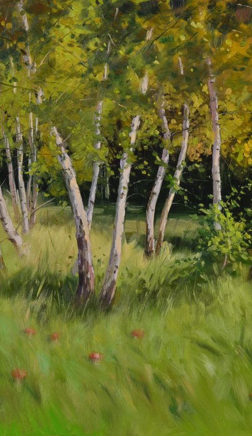 Birches at the edge of the forest by Ruslan Kiprych