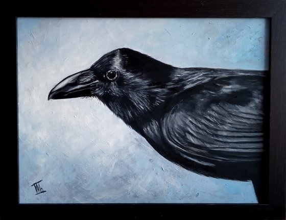 Black Raven