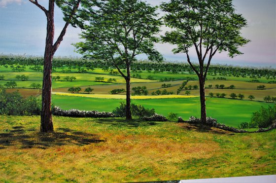 Cheshire plains  100cm x 100cm