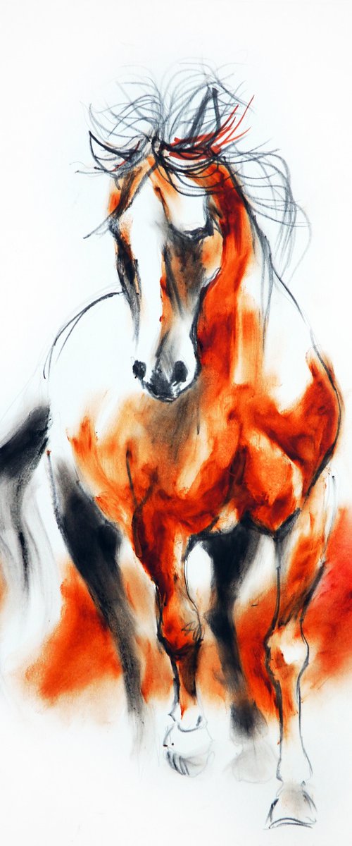 HORSE by Nicolas GOIA