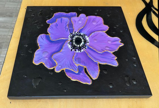 Anemone