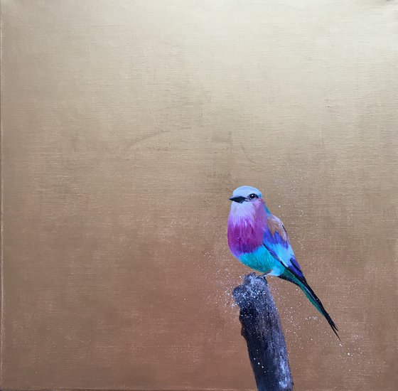 Lilac Breasted Roller