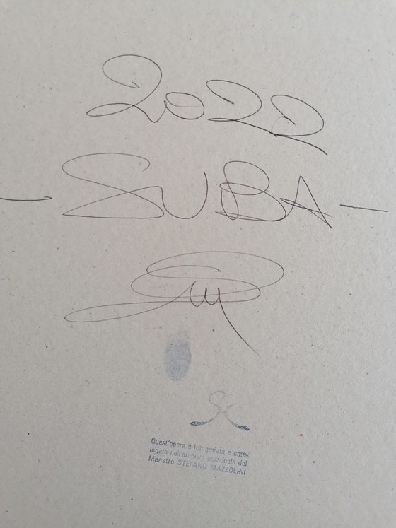 S3B