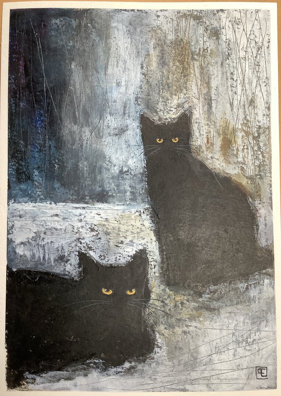 CHATS NOIRS