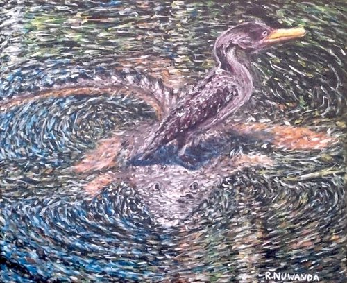 The Anhinga Everglades Look Out by Robbie Potter