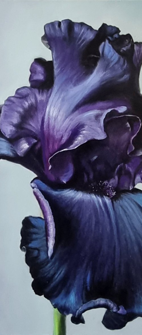 "Haute couture dress." iris  flower 2022 by Anna Bessonova (Kotelnik)