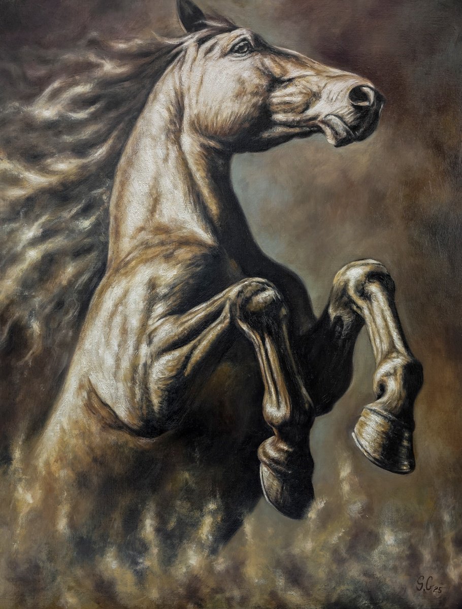 Photorealistic Oil Painting , Power And Elegance - Horse Portrait By Sabbi Gavrailov, 30 X 39, Artwork For Sale On Artfinder
