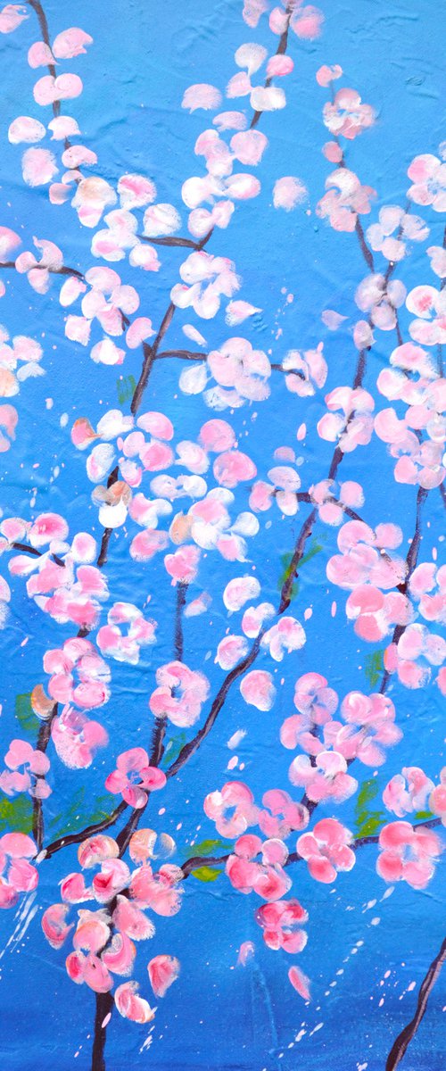 Cherry blossom by Dane