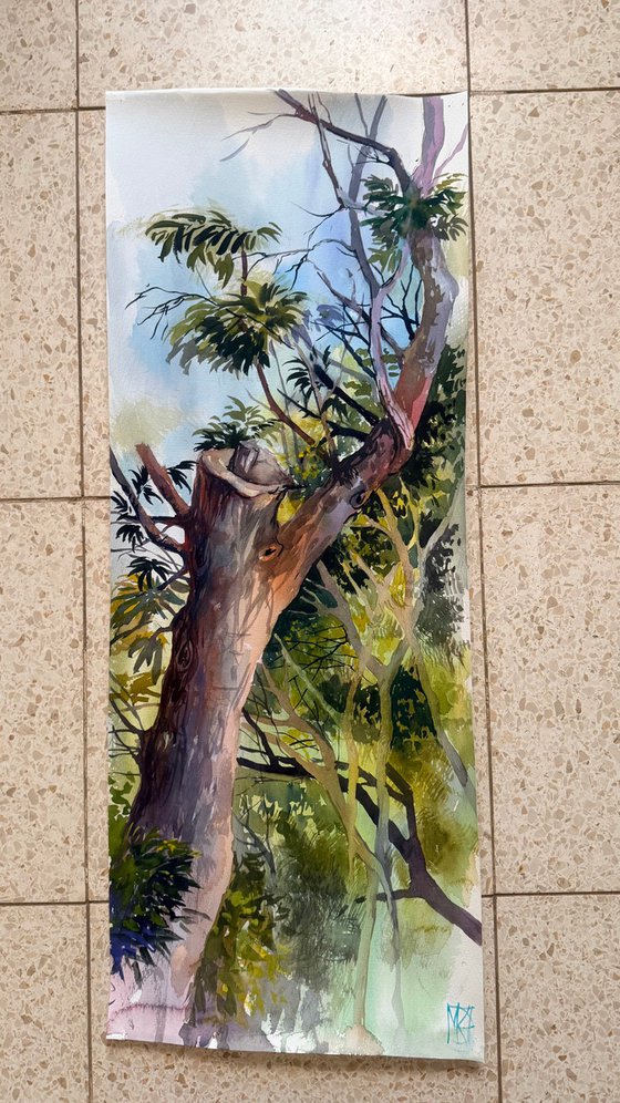 Light Between Branches