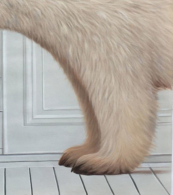 Pet Arctic Bear