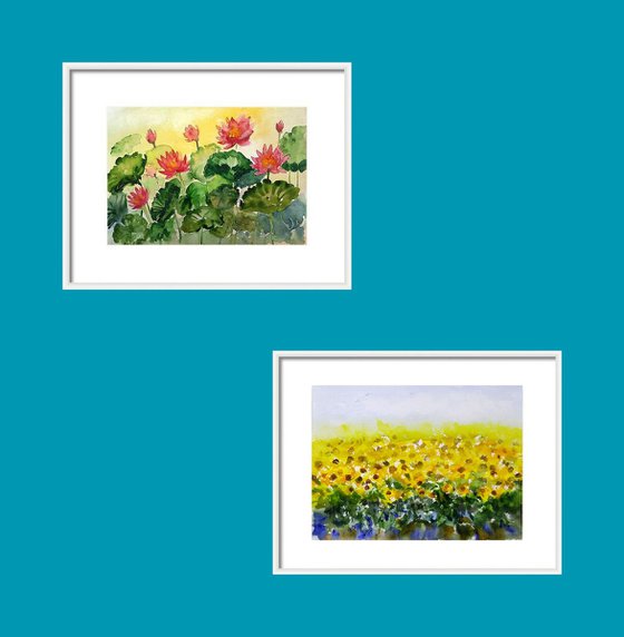Set of water lilies and sunflower fields