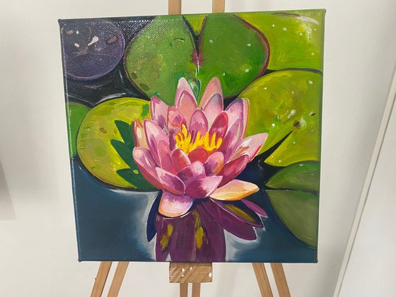 Lily and lily pads, oil painting