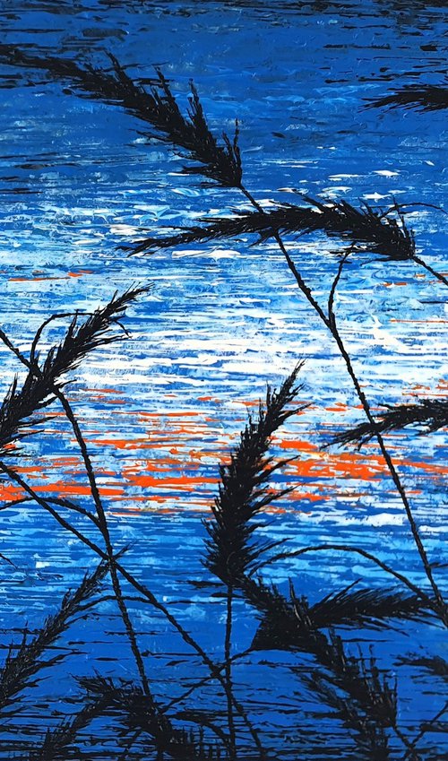 Blue Sunset In The Grass by Daniel Urbaník