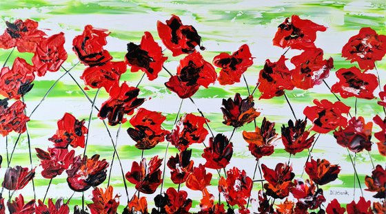 Red Poppies 1