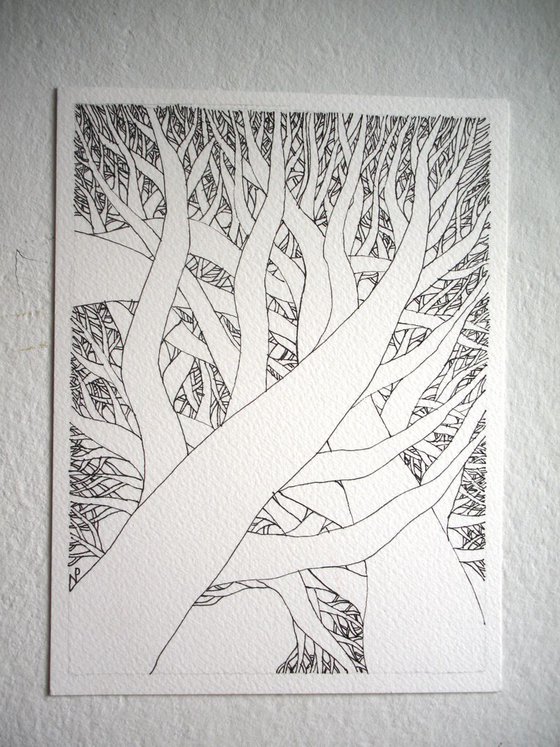 PINES II