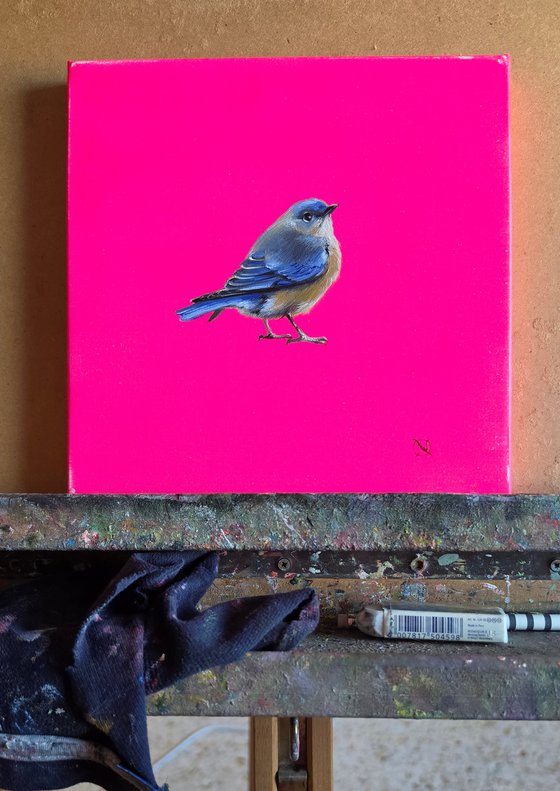 Bluebird Happiness