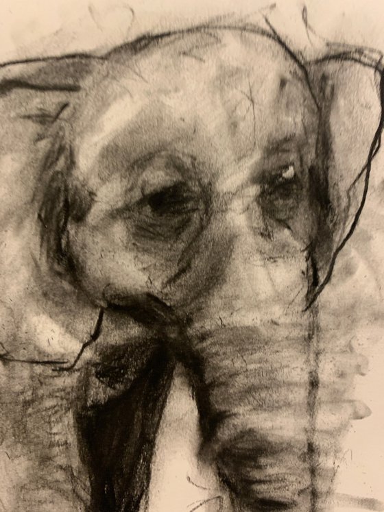 Happy Elephant - Small Drawing