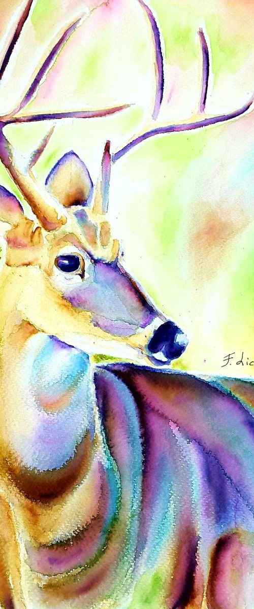 Deer by Francesca Licchelli