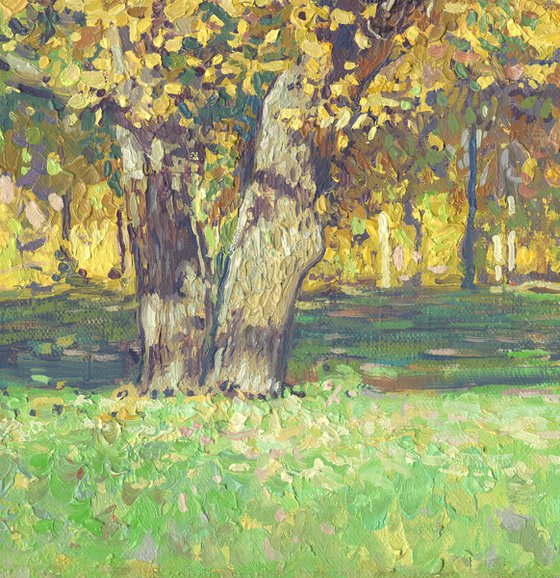 Oak tree in Tsaritsyno in October