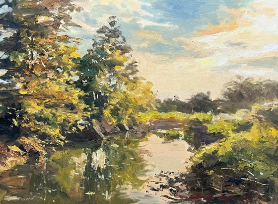 “The Gentle Embrace of Soft Light”