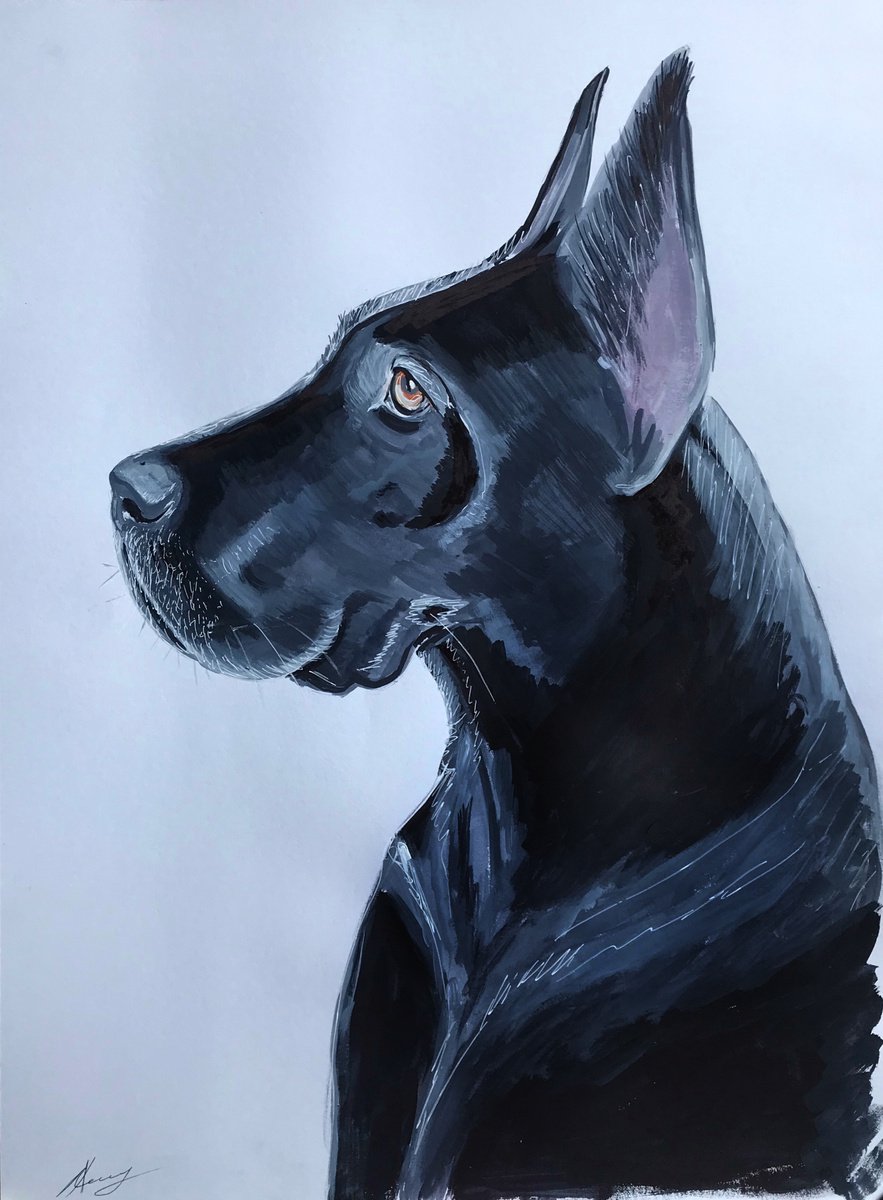 Great Dane Dog acrylic, watercolor pet portrait by Leysan Khasanova