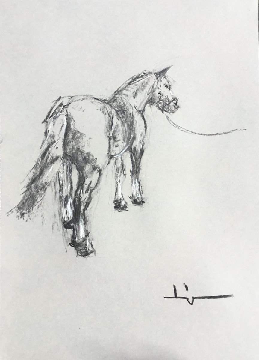 Expressive Animal Charcoal Drawing By Dominique Deve, 12 X 16, Horse Study 1, Original Artwork