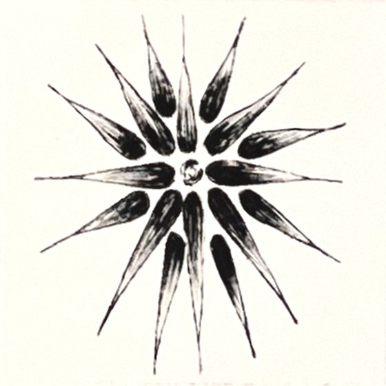 Daedalus' Son