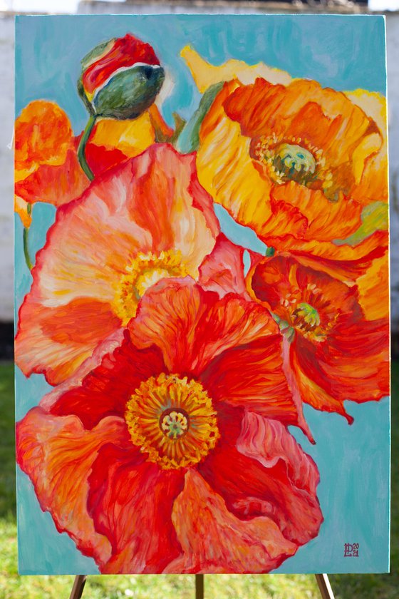 Poppies