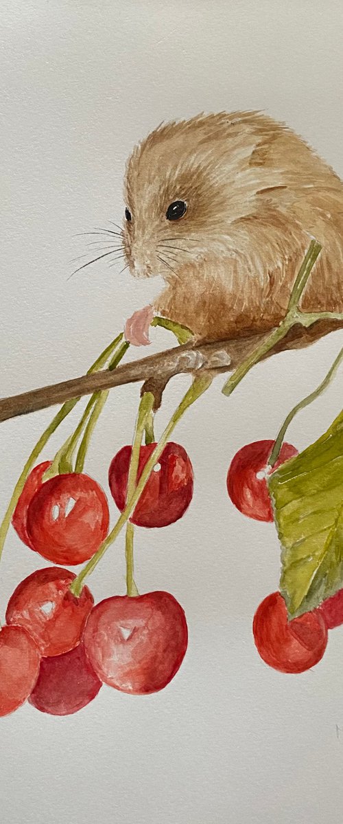 Mouse with cherry by Maxine Taylor