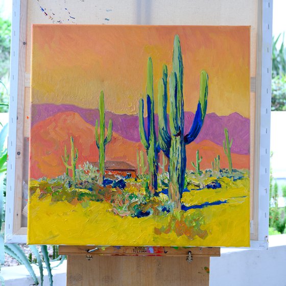 Arizona Evening Light. Saguaros