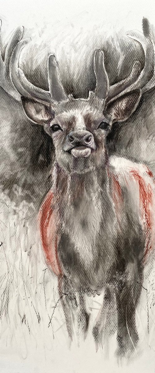Red Stag by Luci Power