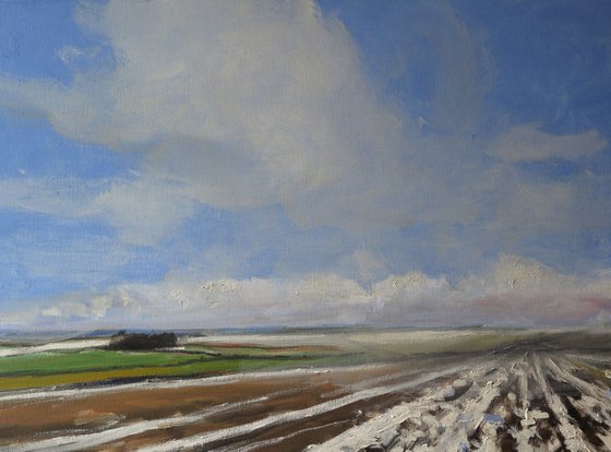 Snow, Jan 8