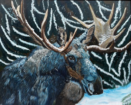 Winter Majesty