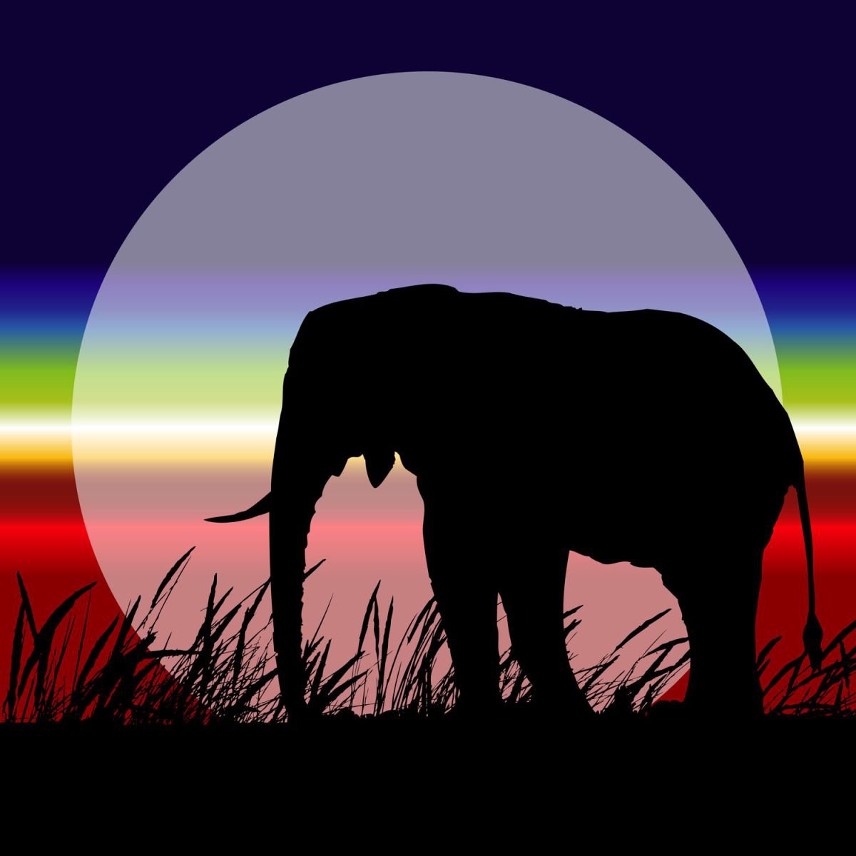 ELEPHANT MOONLIGHT by Keith Dodd