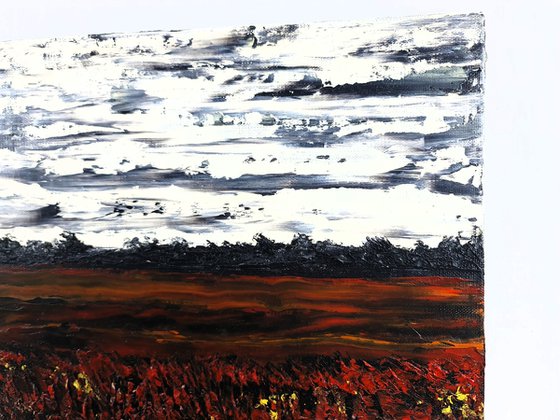 Meadow after rain