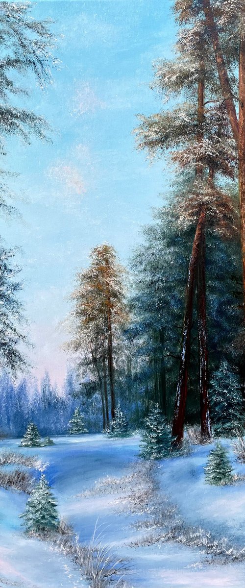 Winters Forest way by Tanja Frost