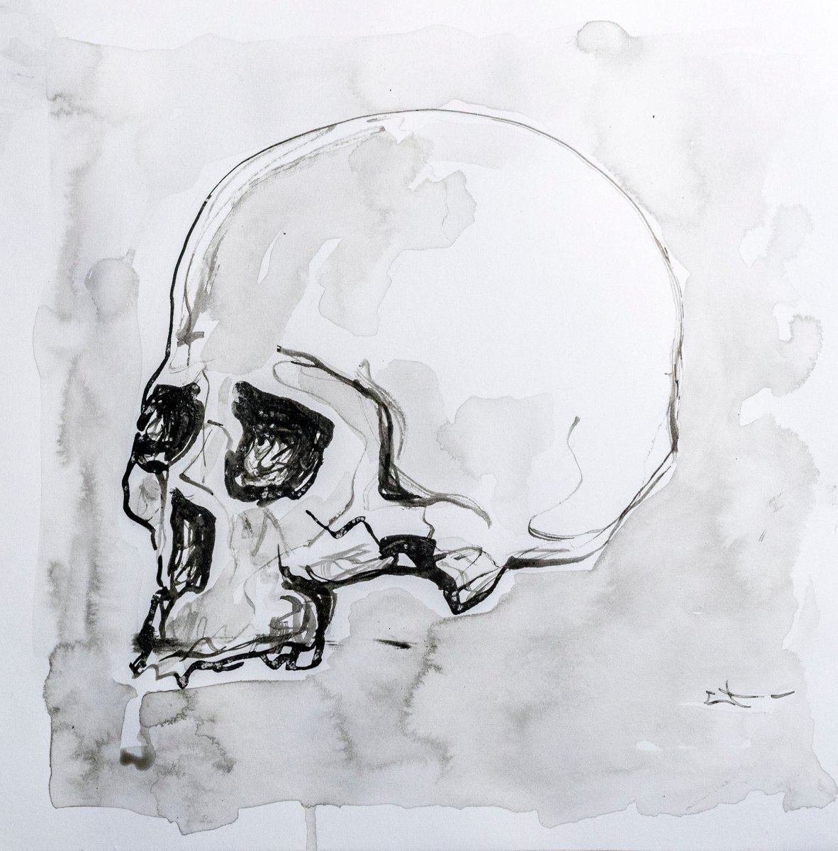 Expressive Still Life Ink Drawing By Lionel Le Jeune, 12 X 12", Skull, Original Artwork