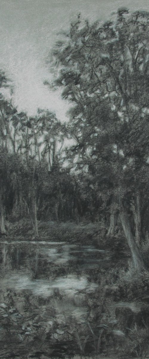 Lagoon Trees and Shore by John Fleck