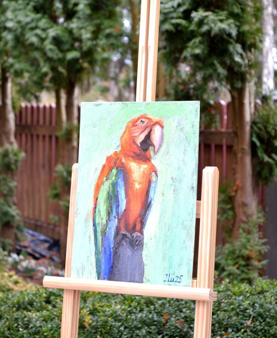 Macaw Parrot