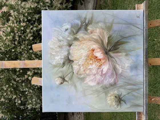 Magic peonies series - A Floating Kiss