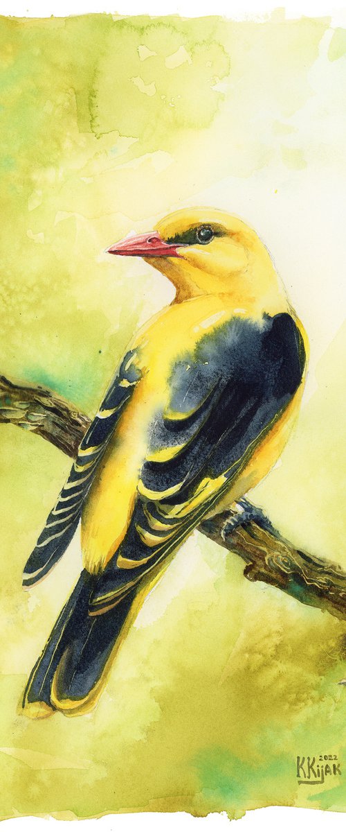 Golden Oriole, spring look by Karolina Kijak