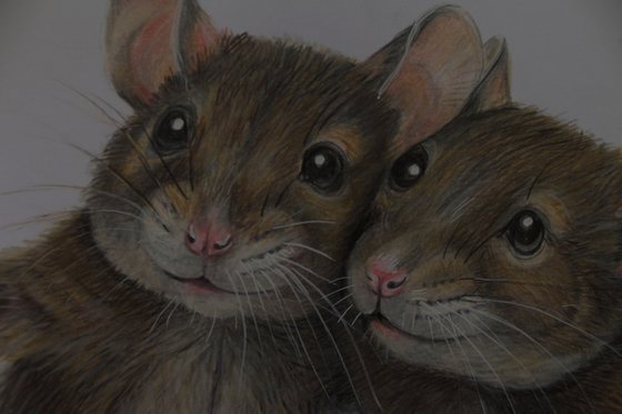 Where is the Cheese? - Colored Pencil Drawing