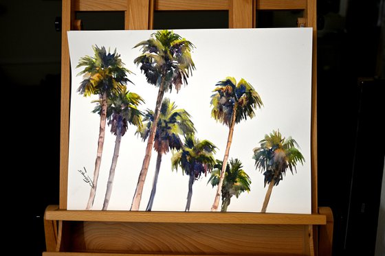 Californian Palm Trees from The Beach