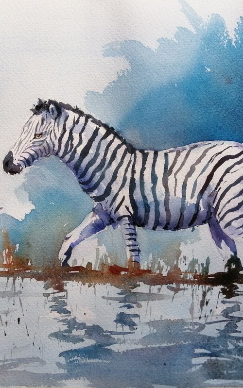 zebras 3 by Giorgio Gosti