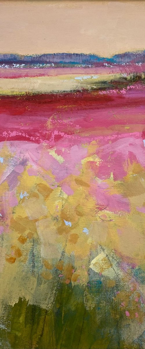 Evening Pink by Chrissie Havers