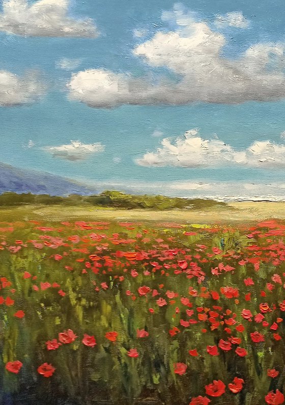 Poppies near the sea