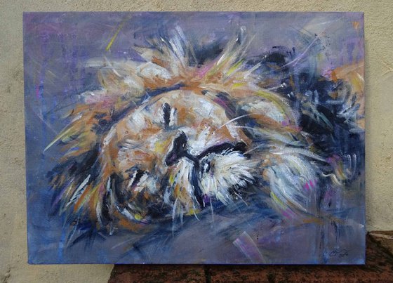 Dreamy Lion