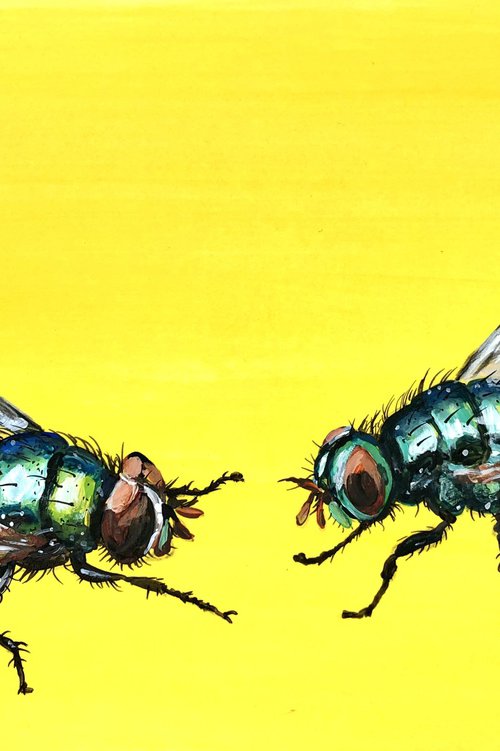 A couple of bottle flies by Lena Smirnova