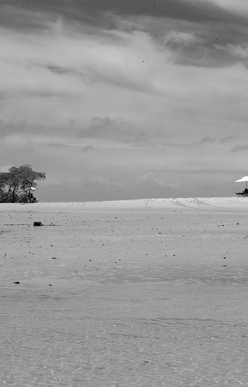 Dividing Line by Chiara Vignudelli